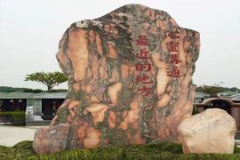 园区一角