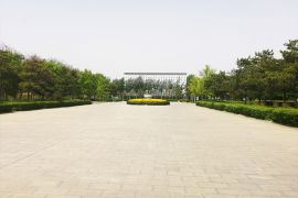 园区道路