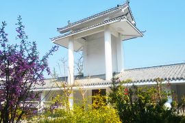 后园景观