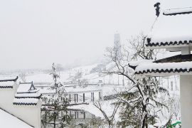 冬季雪景