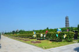 茶寿区