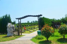 宝寿园茶寿区