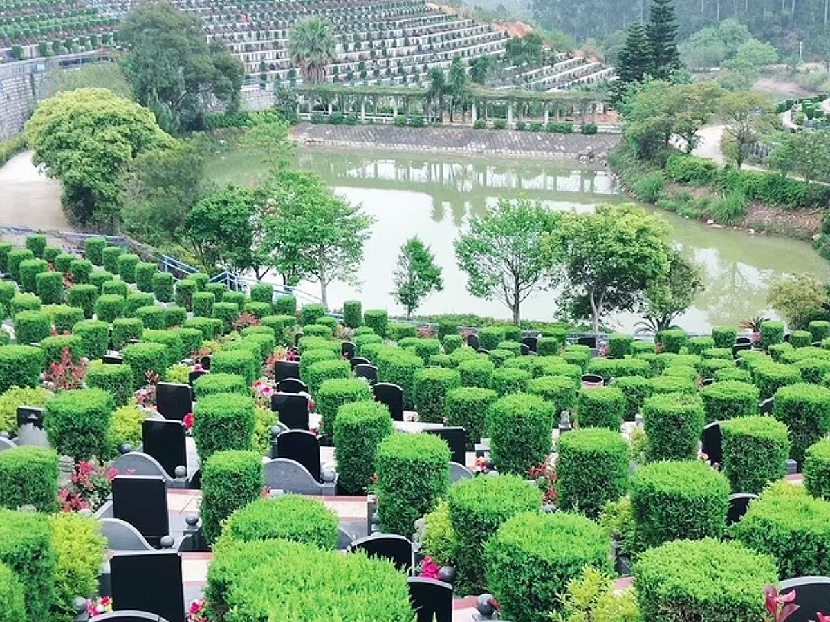 墓区环境