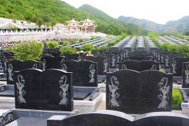 墓区环境