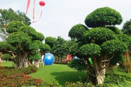 园区环境