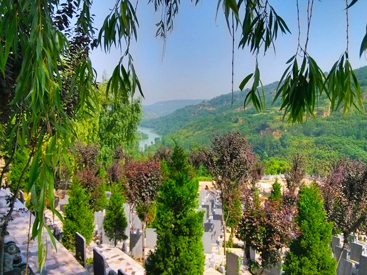 墓区图