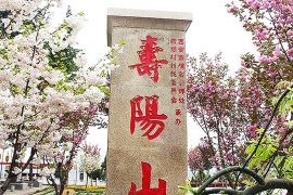 园区建筑