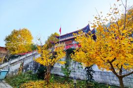 院内建筑
