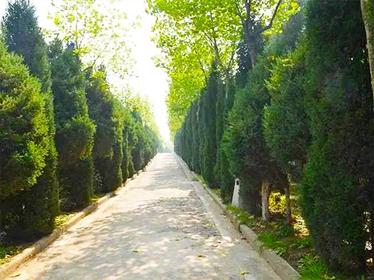 园区小路