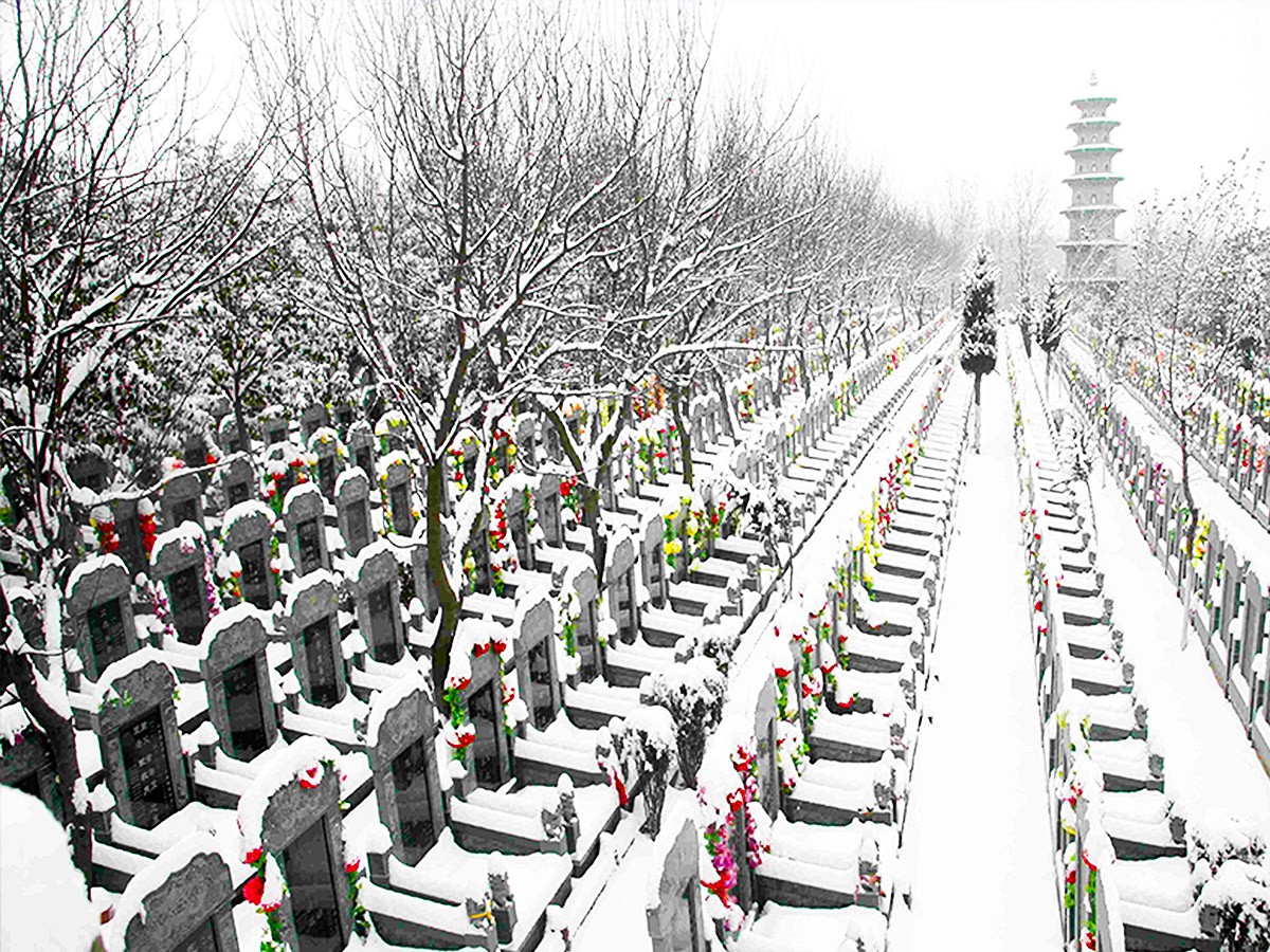 墓区雪景