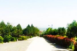 园区公路