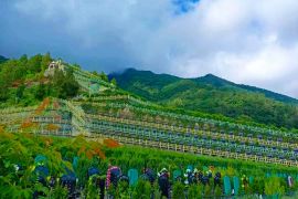 东升台