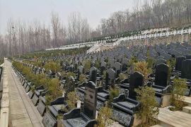 蟠龙区
