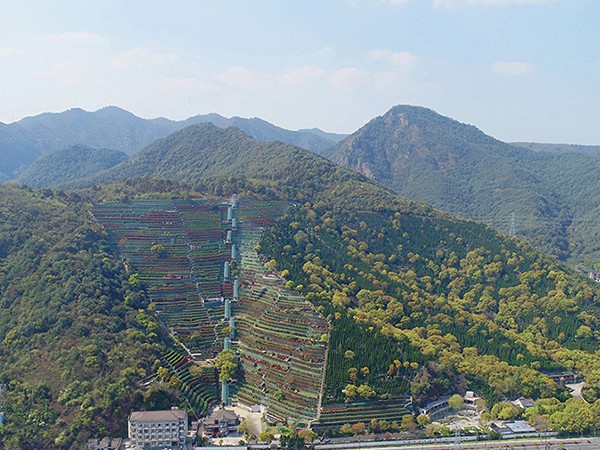 墓区环境