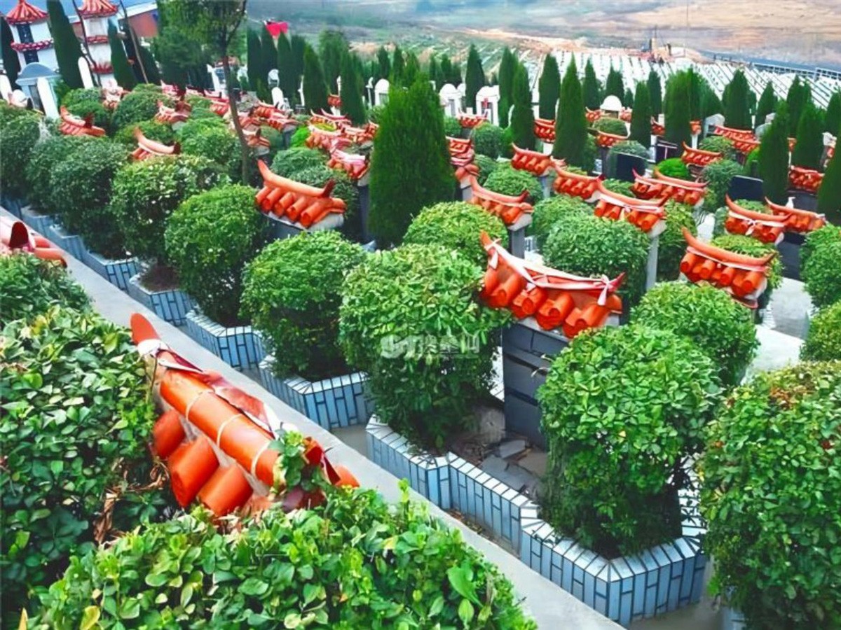 墓区环境