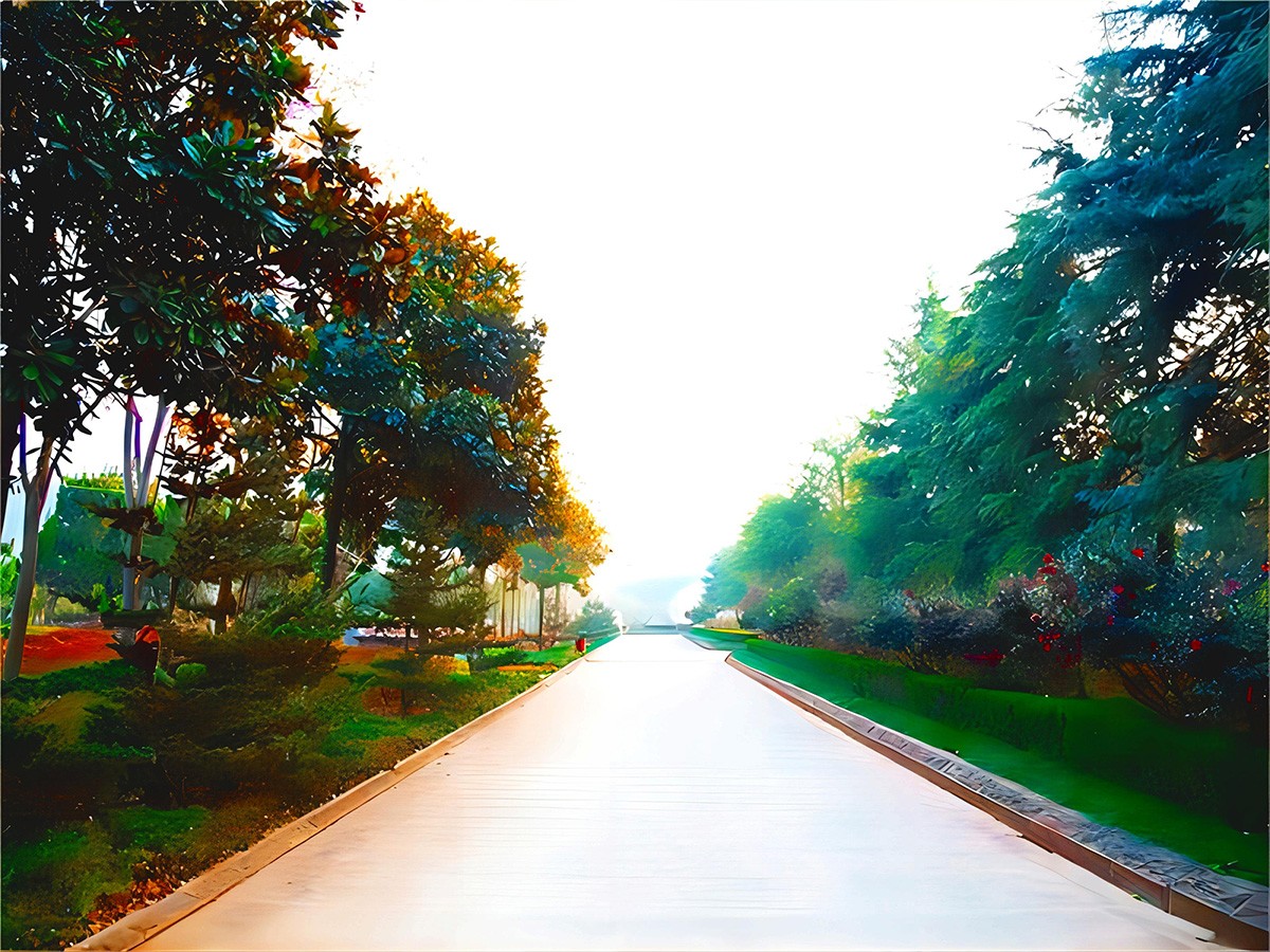 园区道路
