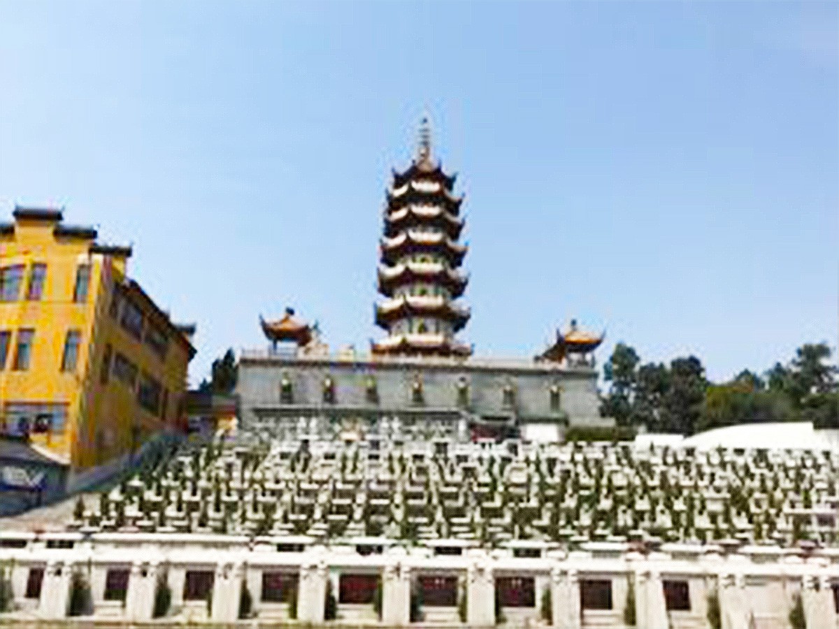 墓区图片