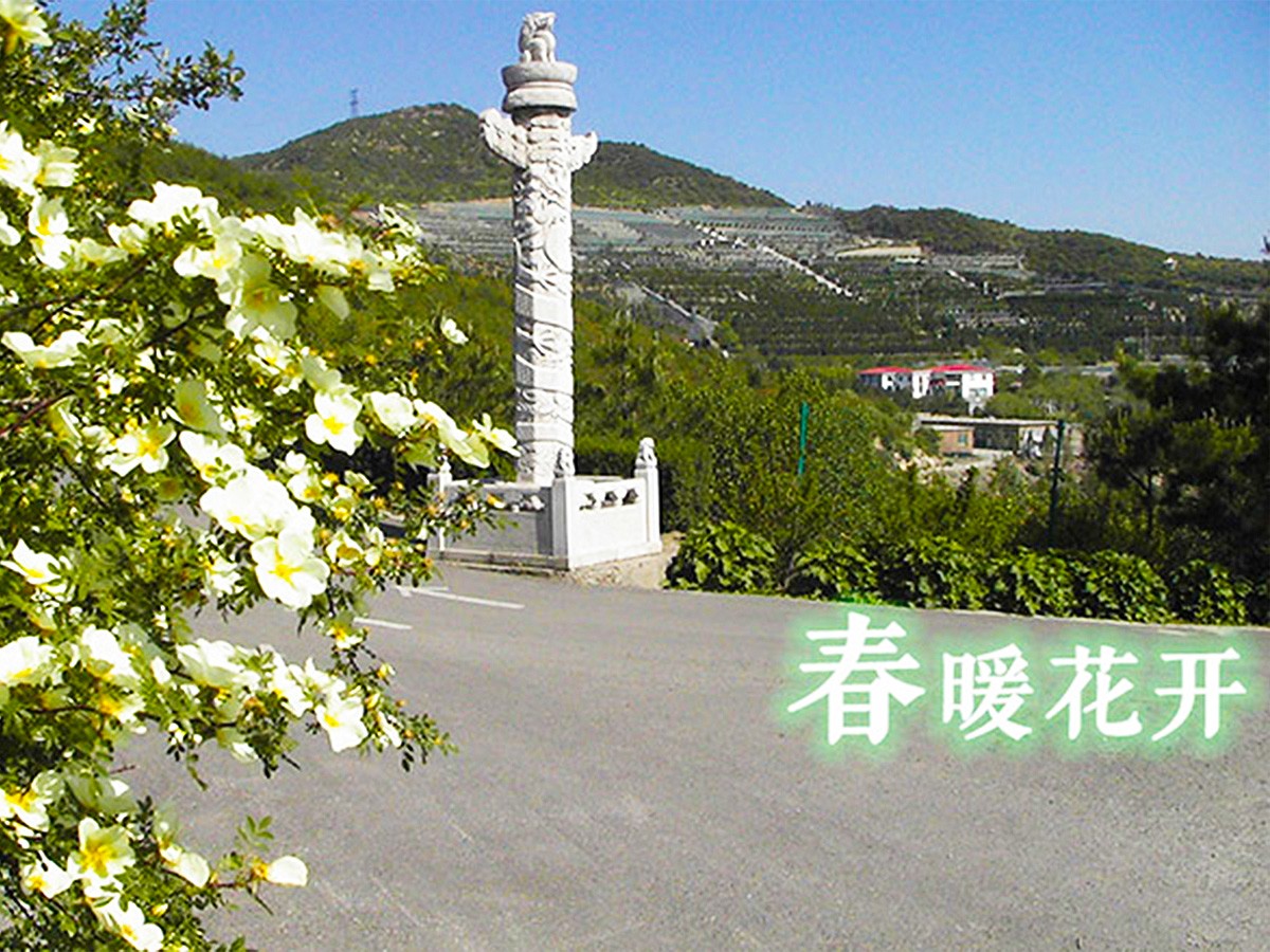 春暖花开