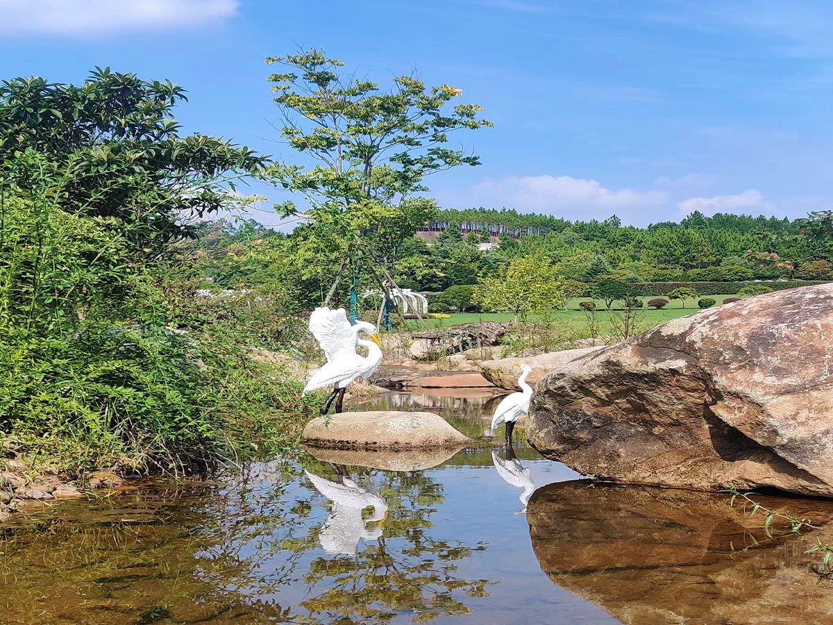 陵园湖泊