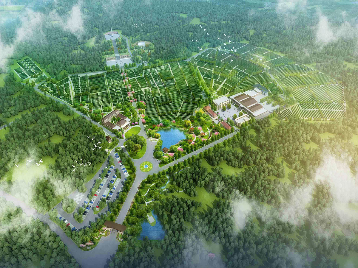 平面图