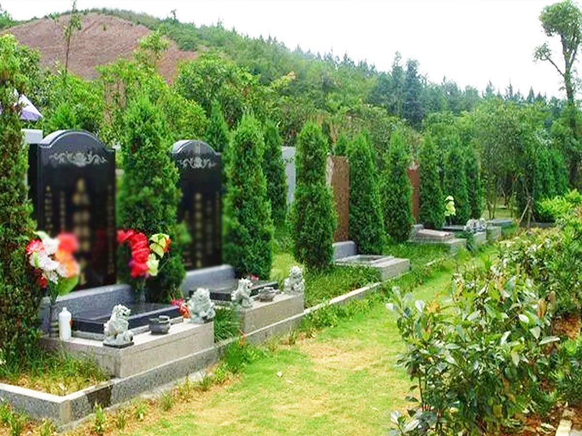 墓区图片