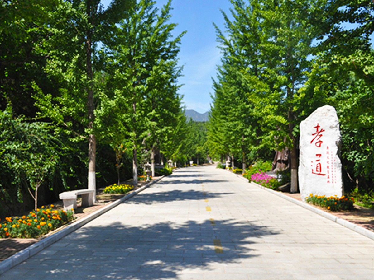 园区主路