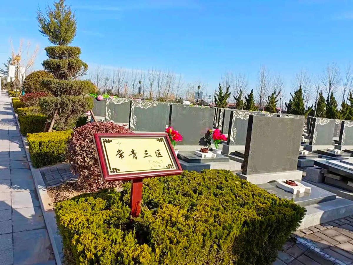墓区图片