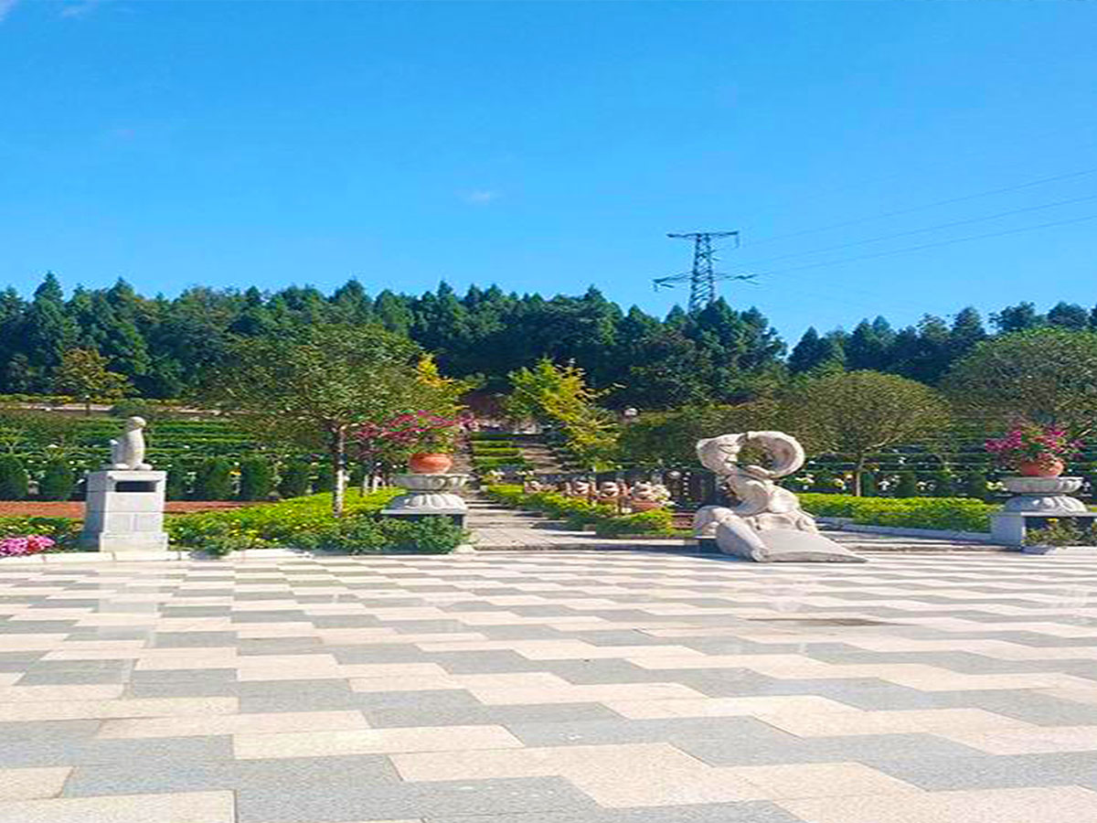 墓区环境