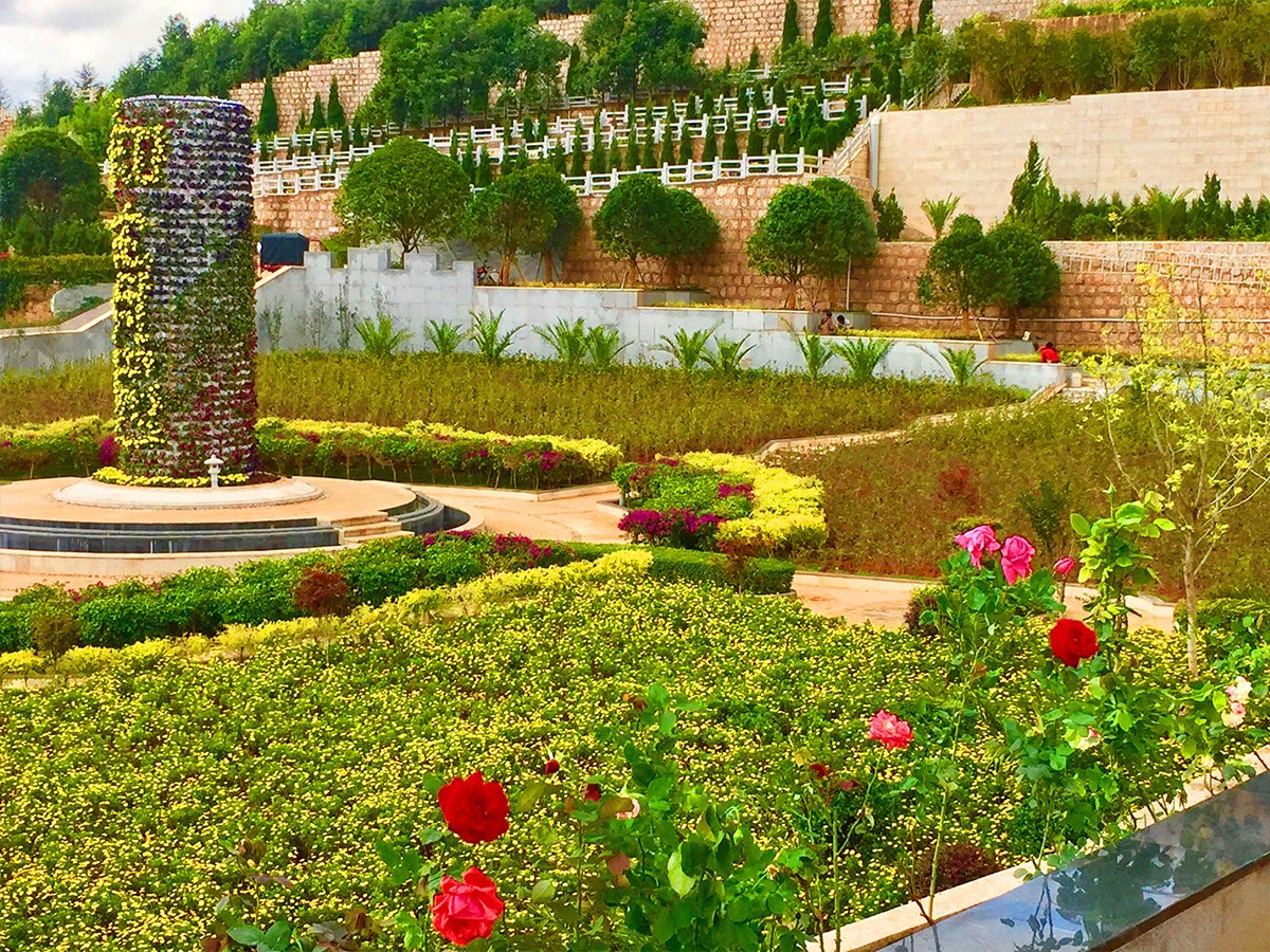 鲜花盛景