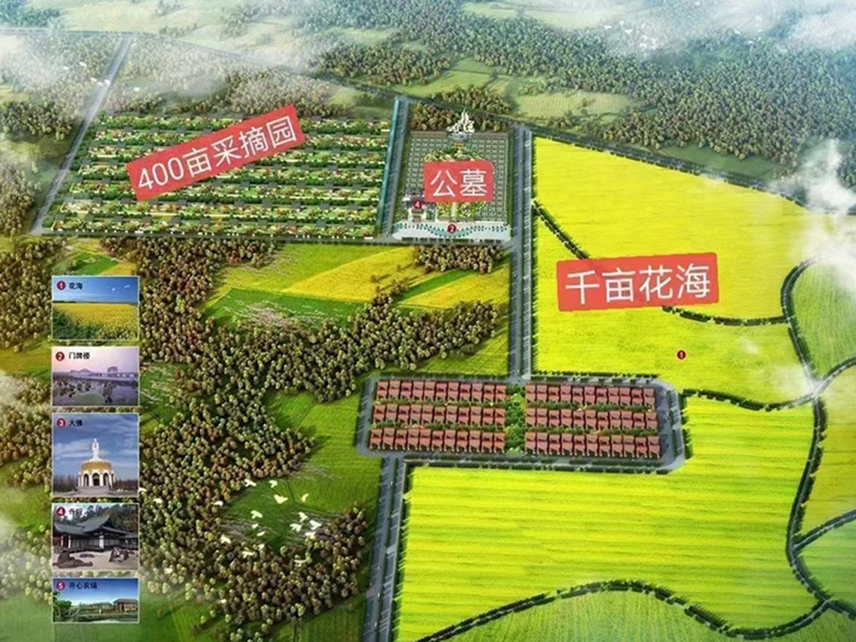 平面图