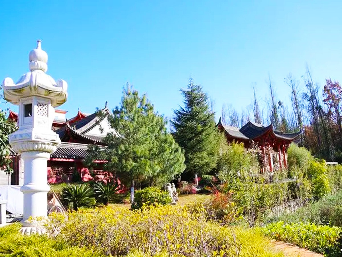 绿树草地
