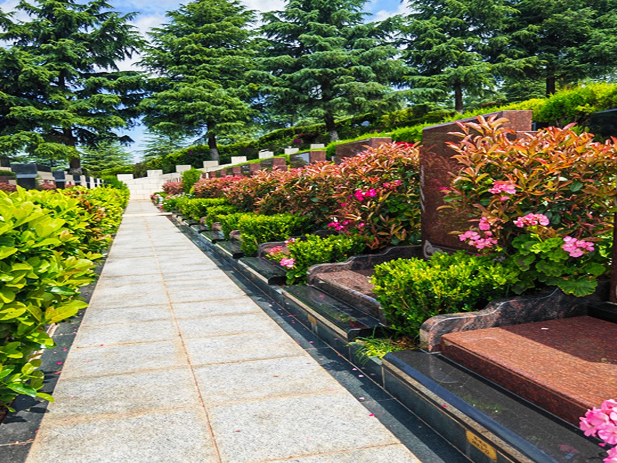 墓区小路