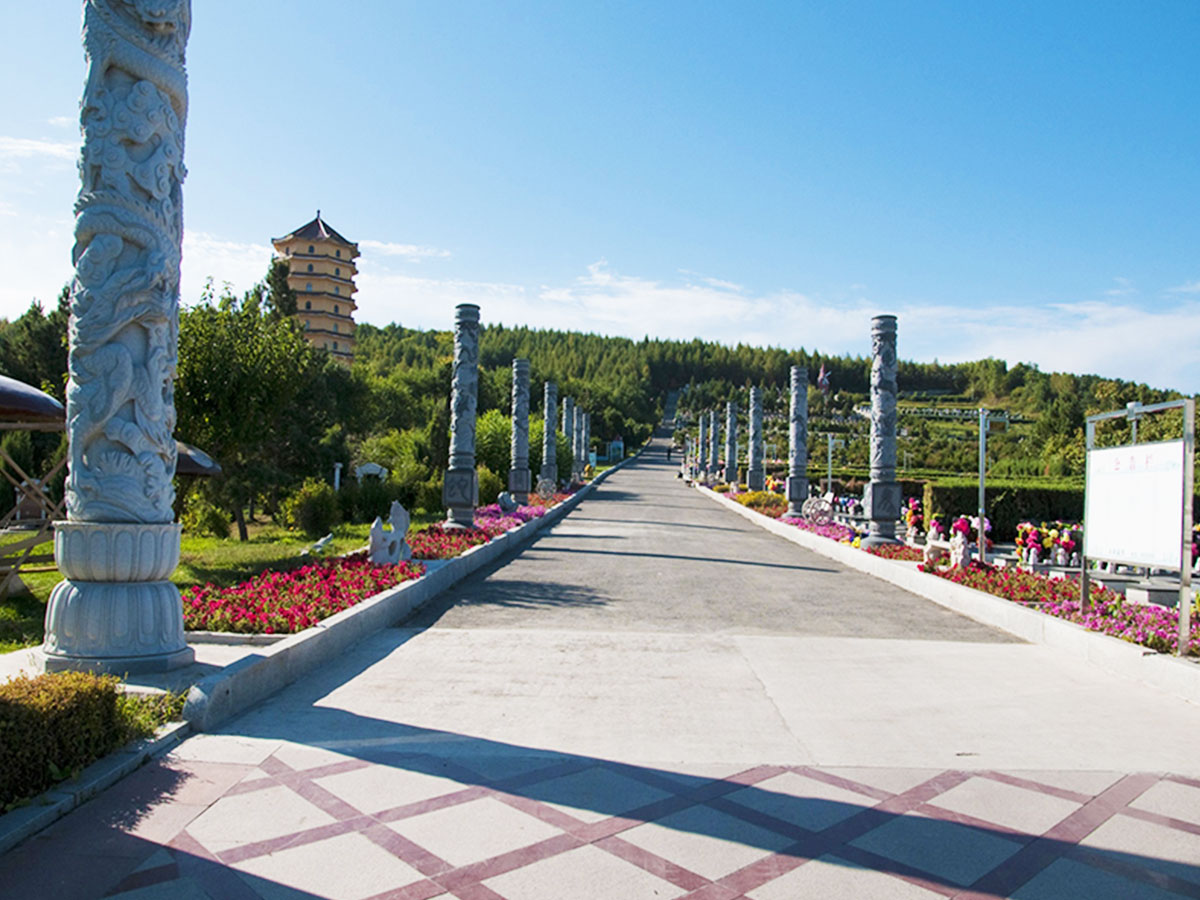 墓区道路