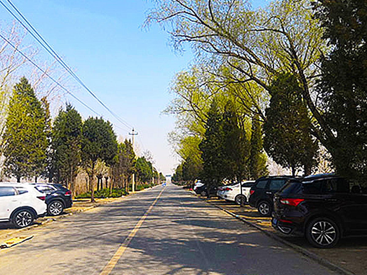 陵园道路