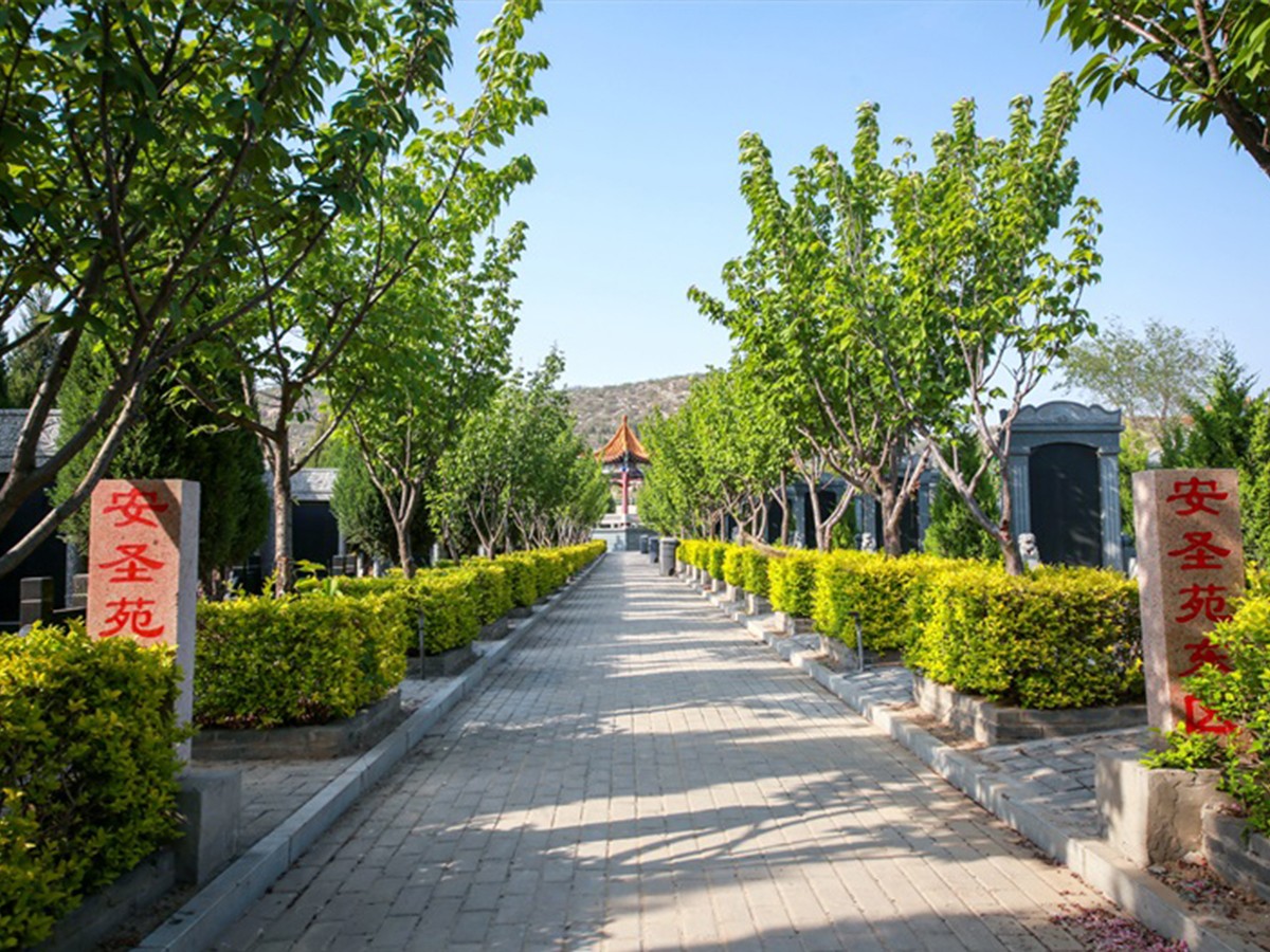 墓区道路