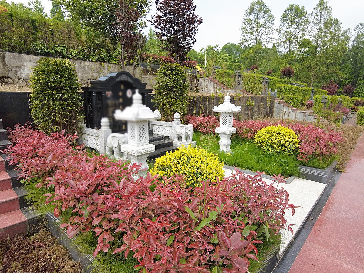 花团锦簇