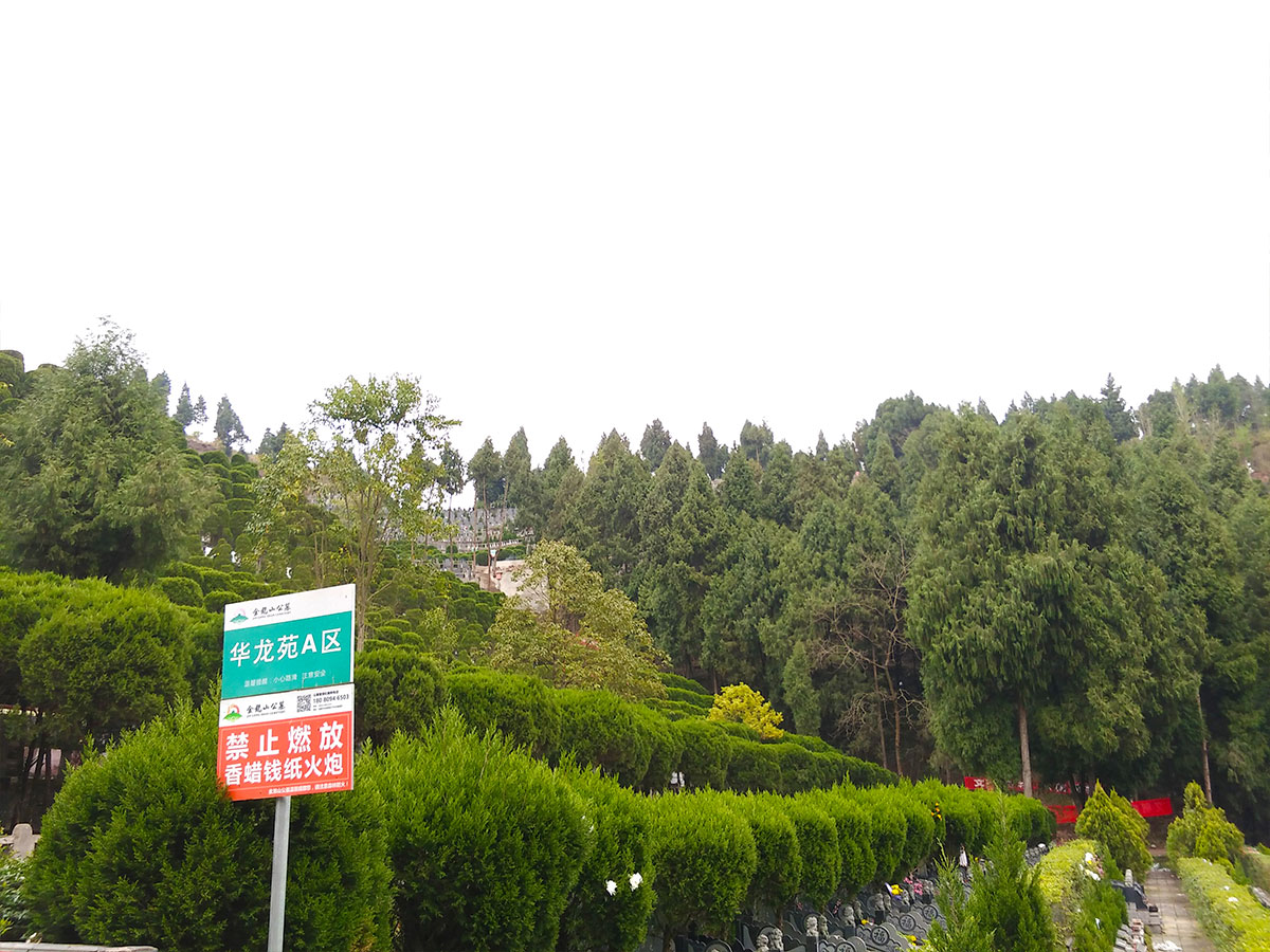 春色满园