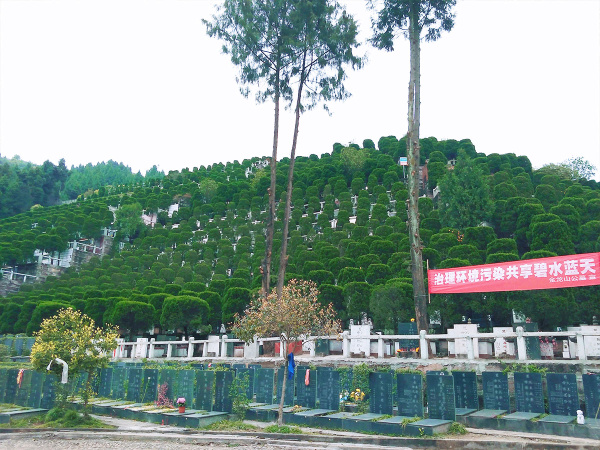 墓区图片