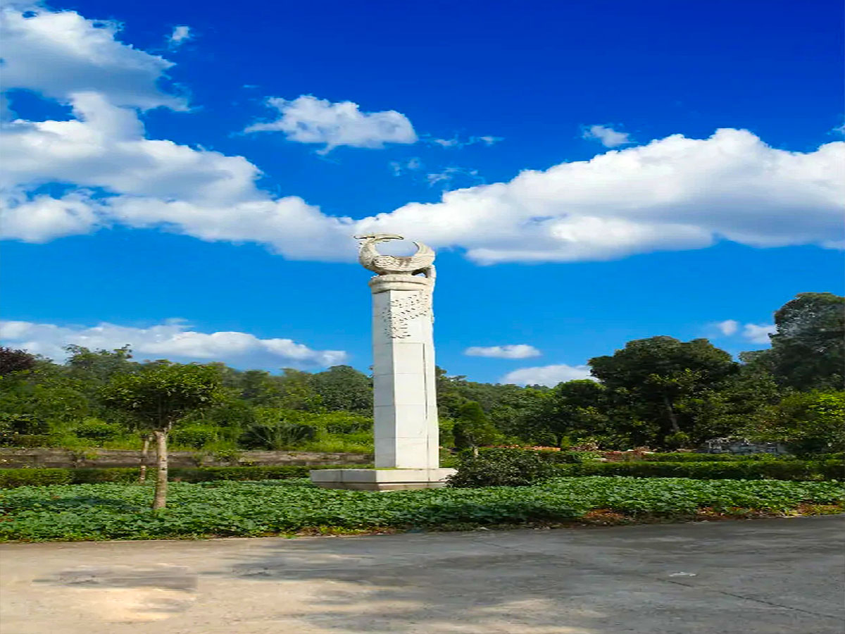 风和日丽