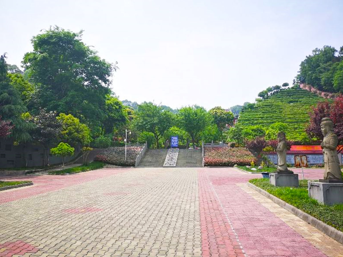 墓区主路
