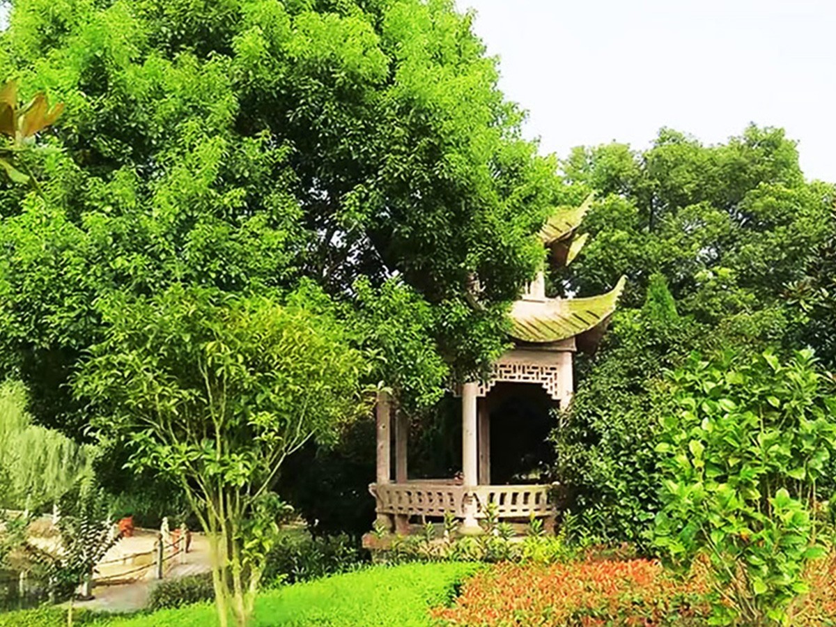 园区景观