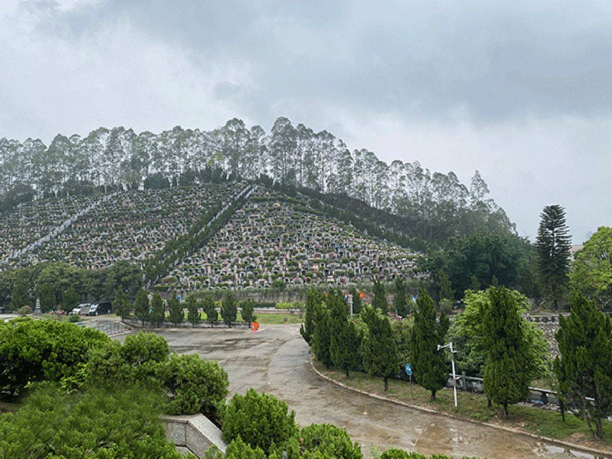 墓区小路