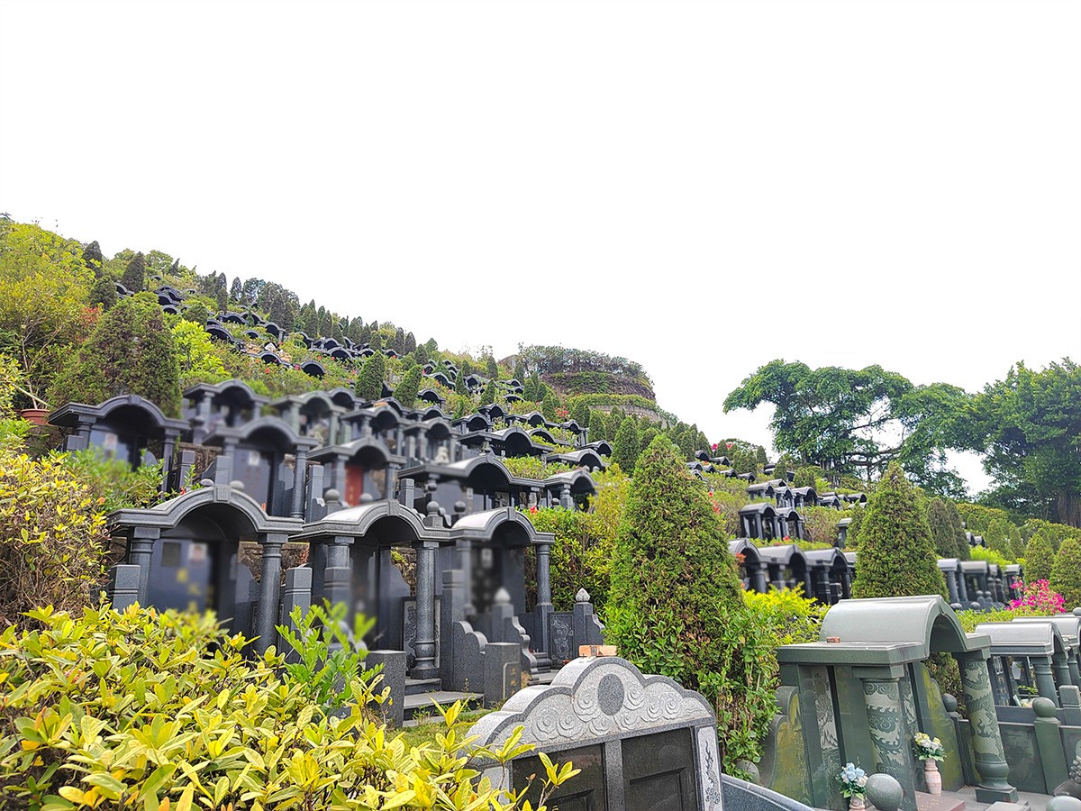墓区风景
