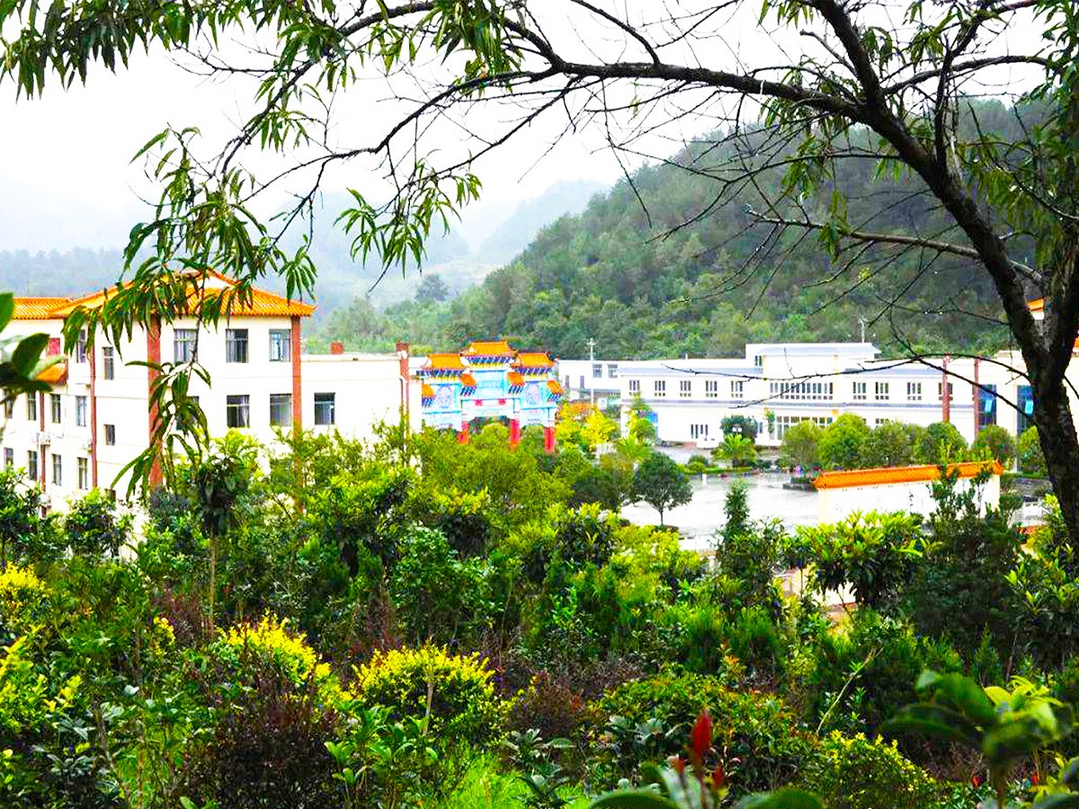 风和日丽