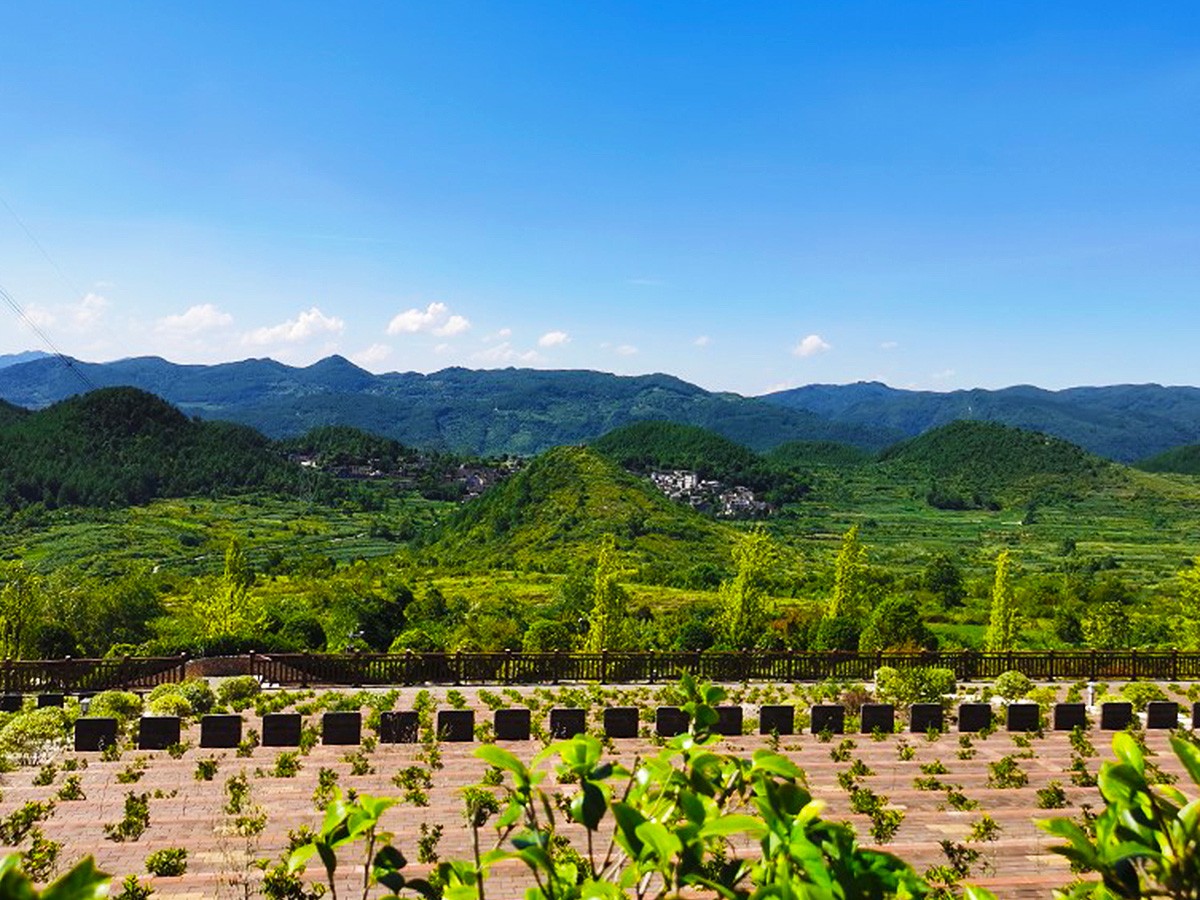 春日风景