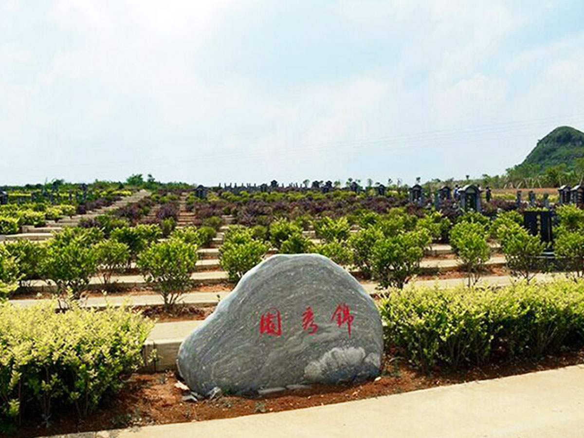 墓区环境