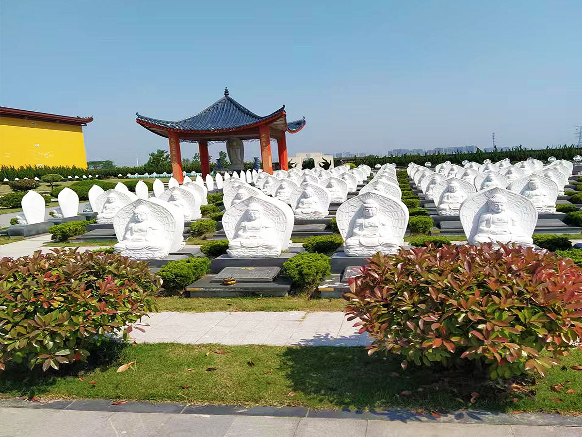 墓区环境