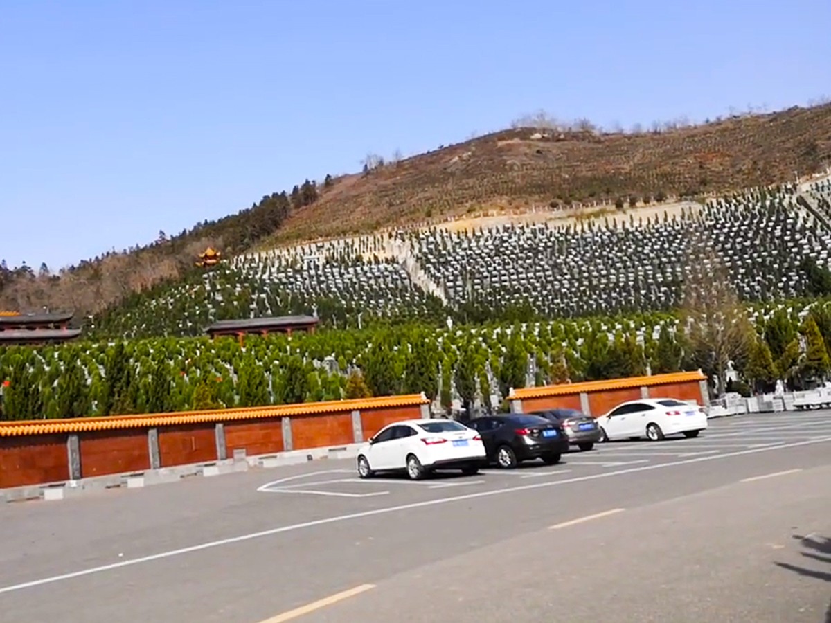 园区道路
