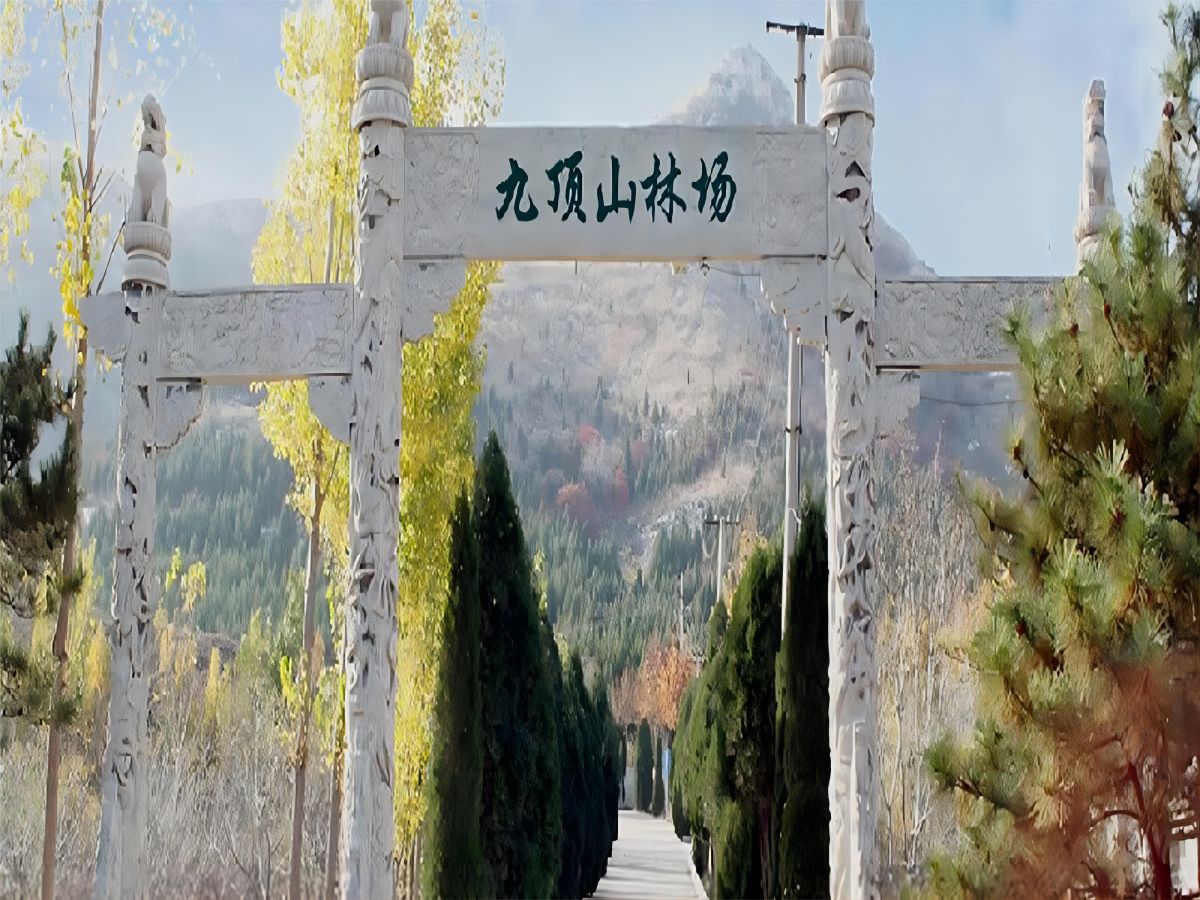 陵园大门