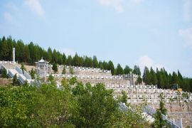 墓区环境